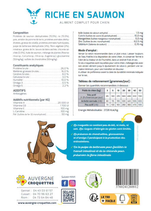 SUPER PREMIUM SAUMON/RIZ SANS CEREALES PAILLERES 4KG – Image 2