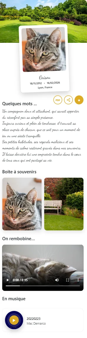 Exemple de profil souvenir