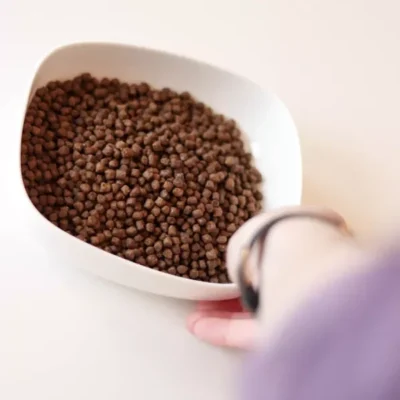 Croquettes Essentielle chaton - au poulet 3 kg